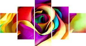 Obraz - Kolorowa róża (125x70 cm)