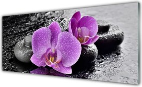 Szkło Ozdobne do Kuchni Egzotyczna Orchidea w Gabinecie Spa