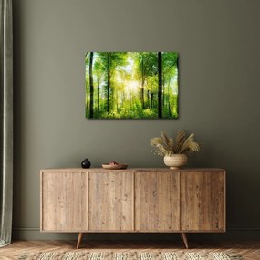 Obraz - Świt w lesie (70x50 cm)