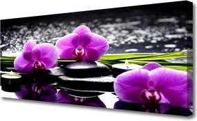 Obraz drukowany na płótnie Egzotyczny Kwiat Orchidei