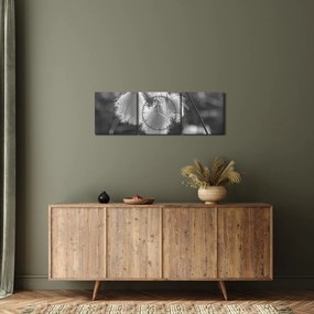 Obraz - Trawa bawełniana (z zegarem) (90x30 cm)