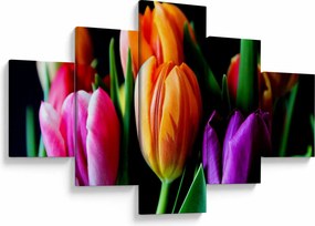 Obraz tulipanów na czarnym tle (125x70 cm)