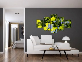 Obraz - liście klonu (125x70 cm)