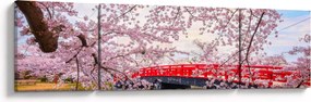 Obraz - Hirosaki, Japonia (170x50 cm)
