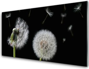 Szkło do Kuchni na Ścianę Złocisty Mniszek W Polu