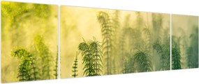 Obraz - Szczegół wiosennej mglistej przyrody (170x50 cm)