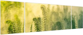 Obraz - Szczegół wiosennej mglistej przyrody (170x50 cm)