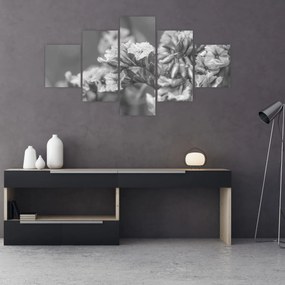 Obraz - Suszone kwiaty (125x70 cm)