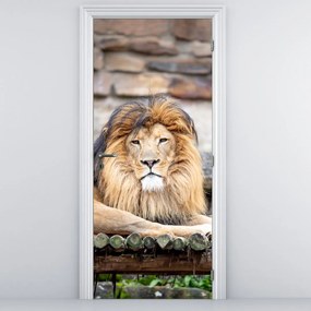 Fototapeta na drzwi - Lew (95x205cm)