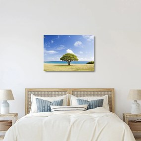 Obraz na szkle - plaża z drzewem (70x50 cm)