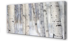 Obraz na płótnie Drzewa Zimą w Śniegu