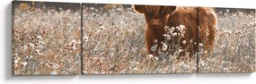 Obraz - Szkocka krowa w kwiatach (170x50 cm)