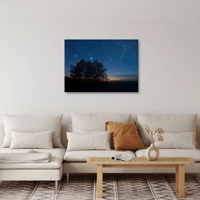 Obraz drzew w nocy (70x50 cm)
