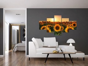 Obraz - Słonecznik (125x70 cm)