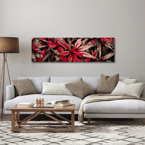 Obraz czerwonych płatków (170x50 cm)