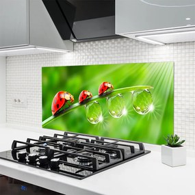 Panel Szklany Biedronki w Porannej Rosie