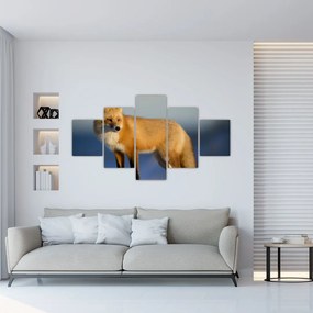 Obraz - Lis na śniegu (125x70 cm)