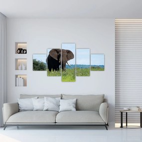 Obraz słonia (125x70 cm)