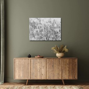 Obraz - Mroźna zima (70x50 cm)