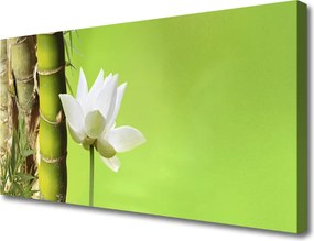 Obraz canvas Orientalny Pęd Bambusa