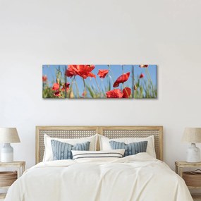 Obraz - Maki (170x50 cm)