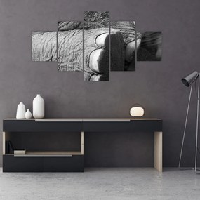 Obraz - Noga słonia (125x70 cm)