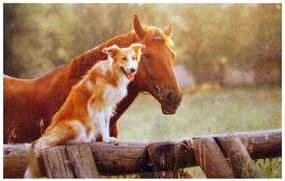 Wycieraczka Deco Star Przyjaciele 50 cm x 80 cm