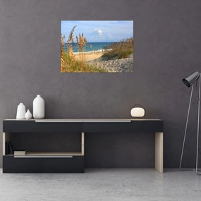 Obraz - Plaża (70x50 cm)