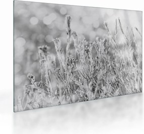 Obraz na szkle - Mroźna zima (70x50 cm)