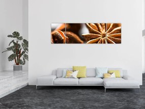 Obraz - Anyż (170x50 cm)