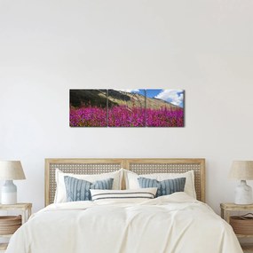 Obraz scenerii łąki górskiej (z zegarem) (90x30 cm)