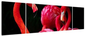 Obraz czerwonych flamingów (170x50 cm)
