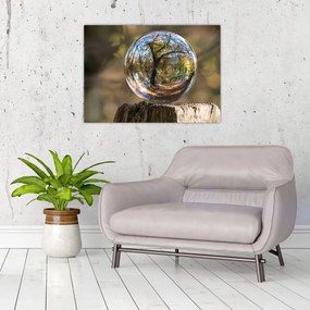Obraz na szkle - Odbicie w szklanej kuli (70x50 cm)