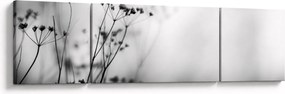 Obraz - Detal kwiatów polnych (170x50 cm)
