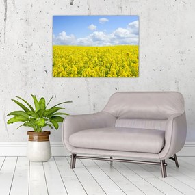 Obraz żółtego pola (70x50 cm)