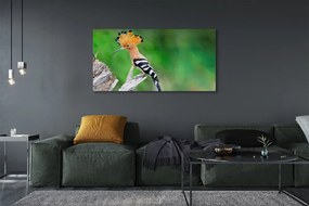 Duży obraz na płótnie Papuga na Drzewie