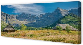 Zdjęcie na płótnie Góry, Pola i Domki
