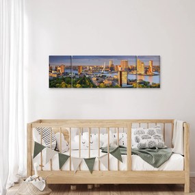 Obraz - Panorama Rotterdamu, Holandia (170x50 cm)