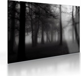 Obraz na szkle - Las we mgle (70x50 cm)