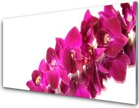 Panel Kuchenny Pastelowy Ogród Botaniczny