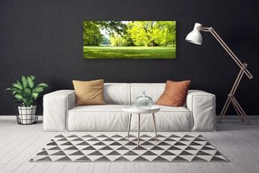 Obraz canvas Parkowa Aleja w Słońcu