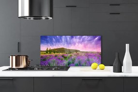 Panel Kuchenny Łąka Kwiaty Góry Natura
