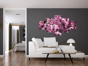 Obraz - Różowa sakura (125x70 cm)