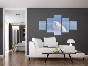 Obraz - Lis polarny (125x70 cm)