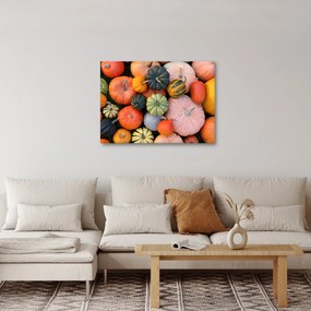 Obraz - Dynia (70x50 cm)