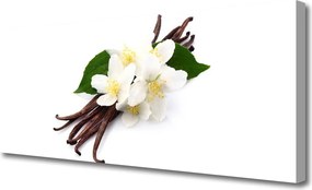 Zdjęcie na płótnie Naturalny Aromat Wanilii