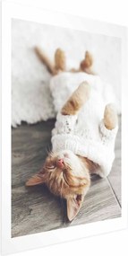 Plakat Leniwy kot 60x90 cm bez ramy z marginesem ARTGEIST B