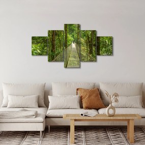 Obraz - Most wiszący (125x70 cm)