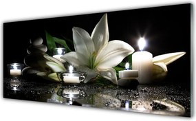 Szkło Ozdobne do Kuchni Świece Spa i Lilia Wodna