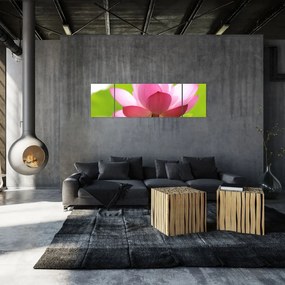 Obraz kwiatu lotosu (170x50 cm)
